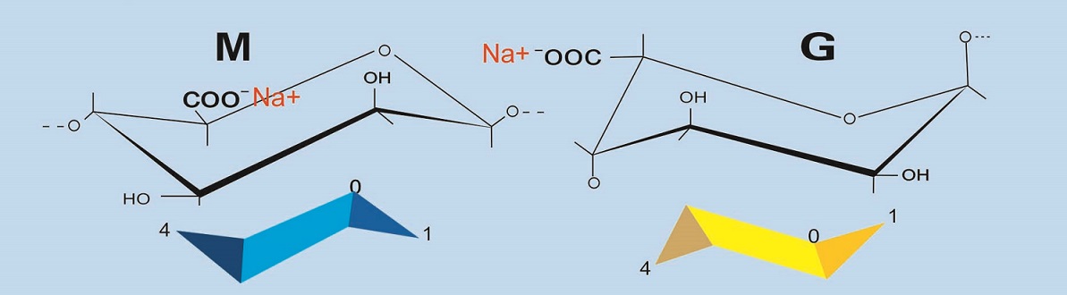 Sodium Alginate structure