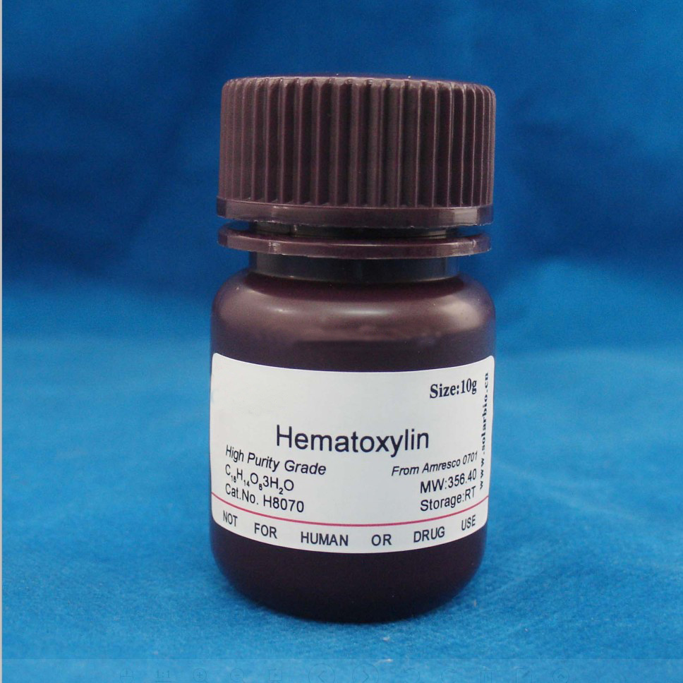 အစွန်းအထင်းအဘို့အ hematoxylin